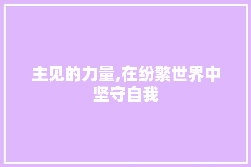 主见的力量,在纷繁世界中坚守自我
