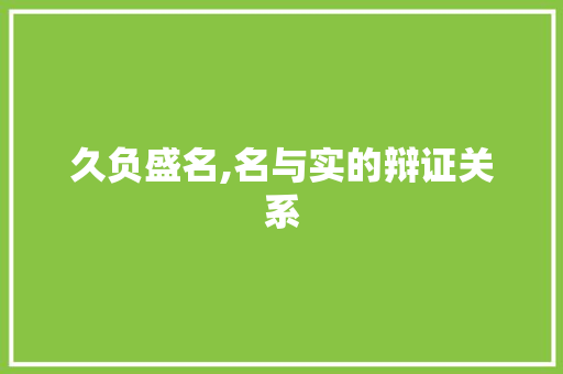 久负盛名,名与实的辩证关系 写作素材