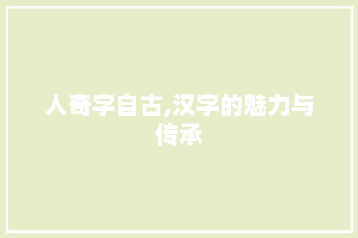 人奇字自古,汉字的魅力与传承 商业文案