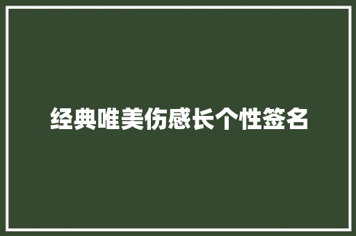 经典唯美伤感长个性签名