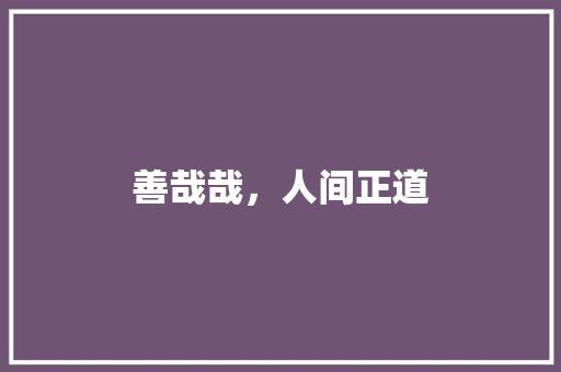 善哉哉，人间正道 简历模板
