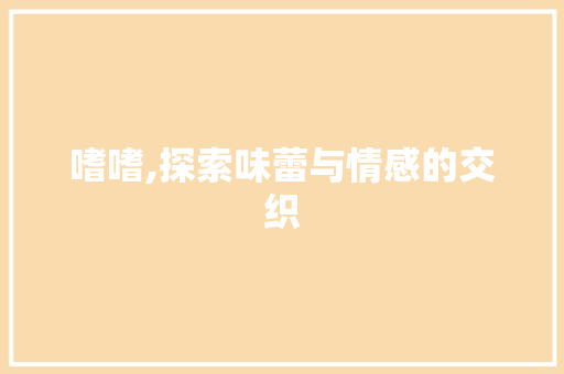 嗜嗜,探索味蕾与情感的交织 词汇积累