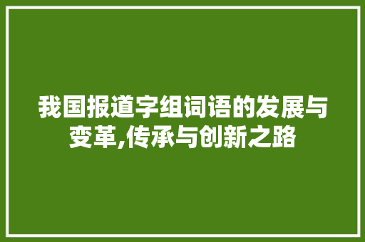 我国报道字组词语的发展与变革,传承与创新之路