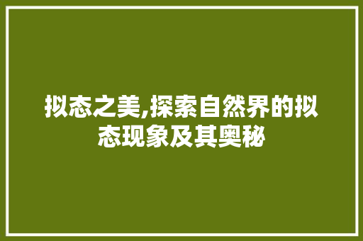 拟态之美,探索自然界的拟态现象及其奥秘