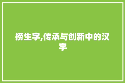 捞生字,传承与创新中的汉字