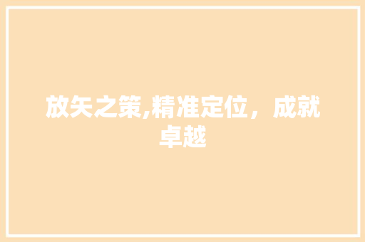 放矢之策,精准定位，成就卓越