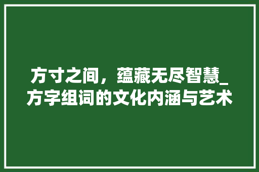 方寸之间，蕴藏无尽智慧_方字组词的文化内涵与艺术 简历模板