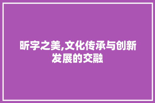 昕字之美,文化传承与创新发展的交融 简历模板