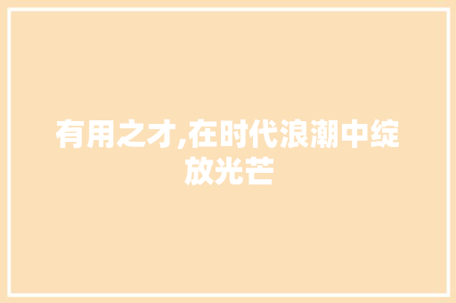 有用之才,在时代浪潮中绽放光芒