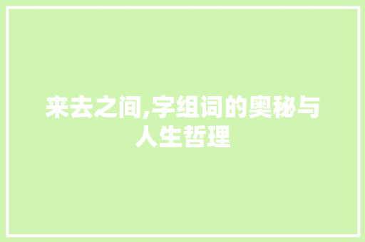 来去之间,字组词的奥秘与人生哲理