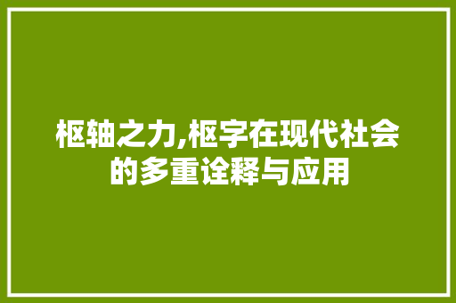 枢轴之力,枢字在现代社会的多重诠释与应用 写作技巧