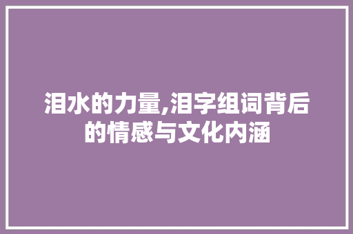 泪水的力量,泪字组词背后的情感与文化内涵