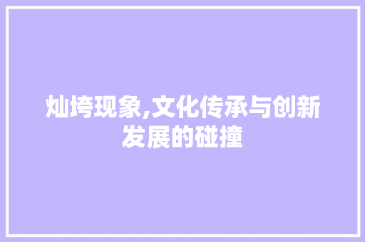 灿垮现象,文化传承与创新发展的碰撞 写作社区