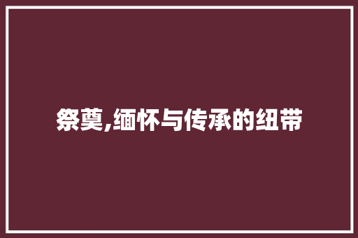 祭奠,缅怀与传承的纽带 写作技巧