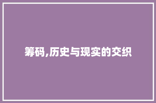 筹码,历史与现实的交织 词汇积累