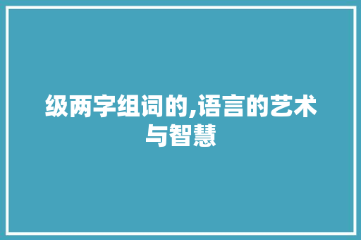 级两字组词的,语言的艺术与智慧 词汇积累