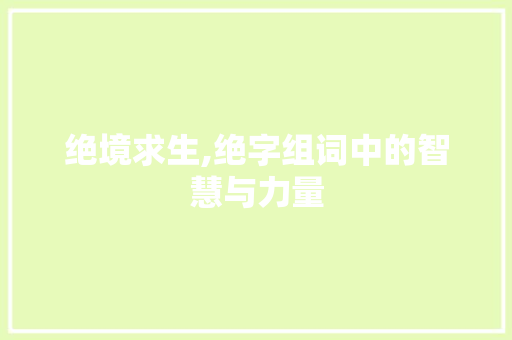 绝境求生,绝字组词中的智慧与力量