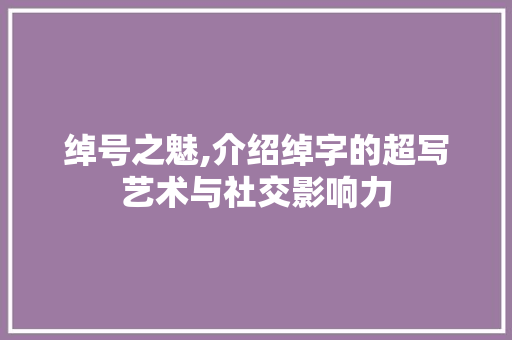 绰号之魅,介绍绰字的超写艺术与社交影响力 写作技巧