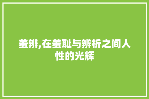 羞辨,在羞耻与辨析之间人性的光辉 词汇积累
