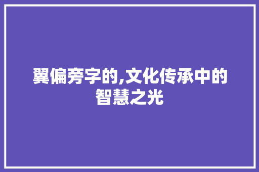 翼偏旁字的,文化传承中的智慧之光