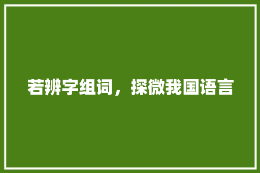 若辨字组词，探微我国语言