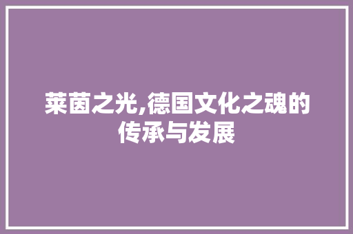 莱茵之光,德国文化之魂的传承与发展