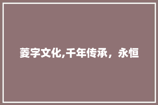 菱字文化,千年传承，永恒 写作社区