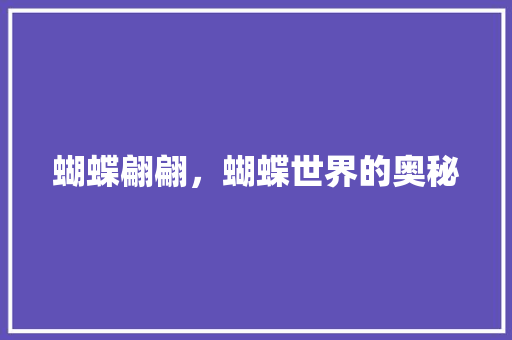 蝴蝶翩翩，蝴蝶世界的奥秘 简历模板