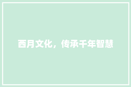 西月文化，传承千年智慧 词汇积累