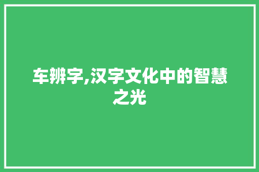 车辨字,汉字文化中的智慧之光 商业文案