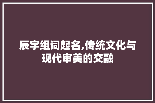 辰字组词起名,传统文化与现代审美的交融 诗歌创作