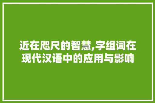 近在咫尺的智慧,字组词在现代汉语中的应用与影响 写作技巧