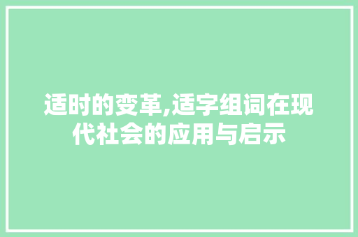 适时的变革,适字组词在现代社会的应用与启示
