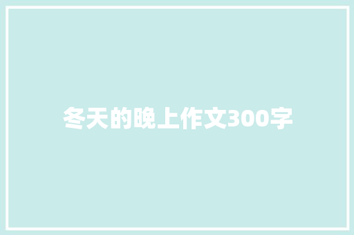 冬天的晚上作文300字