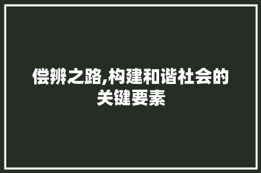 偿辨之路,构建和谐社会的关键要素