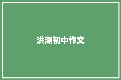 洪湖初中作文 词汇积累