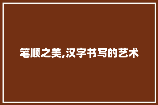 笔顺之美,汉字书写的艺术
