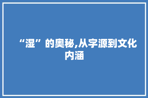 “湿”的奥秘,从字源到文化内涵 报告写作