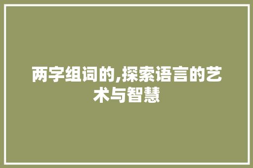 两字组词的,探索语言的艺术与智慧 报告写作