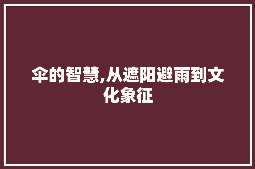 伞的智慧,从遮阳避雨到文化象征