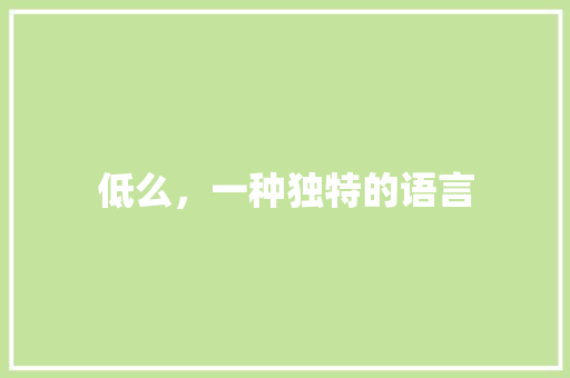 低么，一种独特的语言
