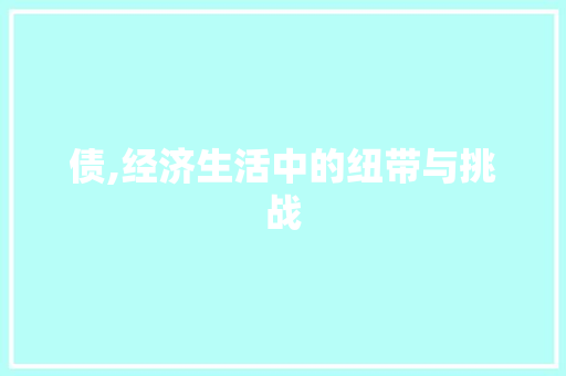 债,经济生活中的纽带与挑战 词汇积累