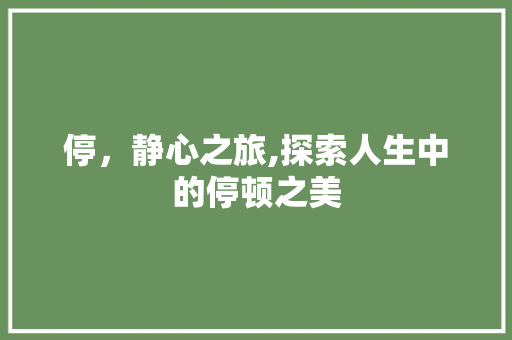 停，静心之旅,探索人生中的停顿之美