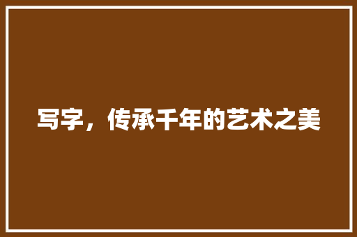 写字，传承千年的艺术之美 报告写作