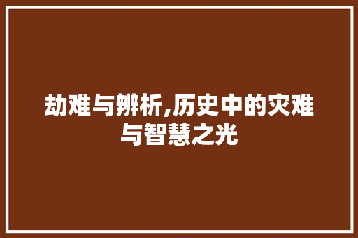 劫难与辨析,历史中的灾难与智慧之光