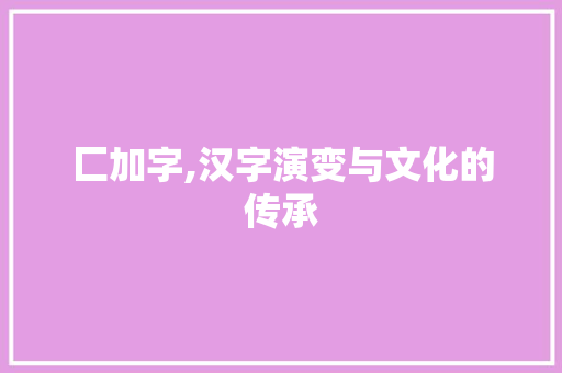 匚加字,汉字演变与文化的传承