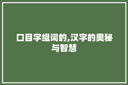 口目字组词的,汉字的奥秘与智慧 词汇积累