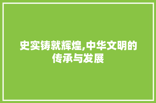 史实铸就辉煌,中华文明的传承与发展 简历模板
