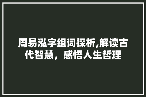 周易泓字组词探析,解读古代智慧，感悟人生哲理 简历模板