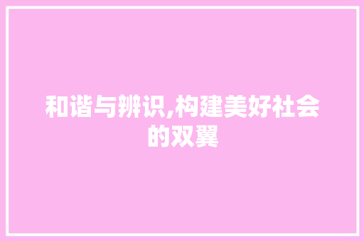和谐与辨识,构建美好社会的双翼